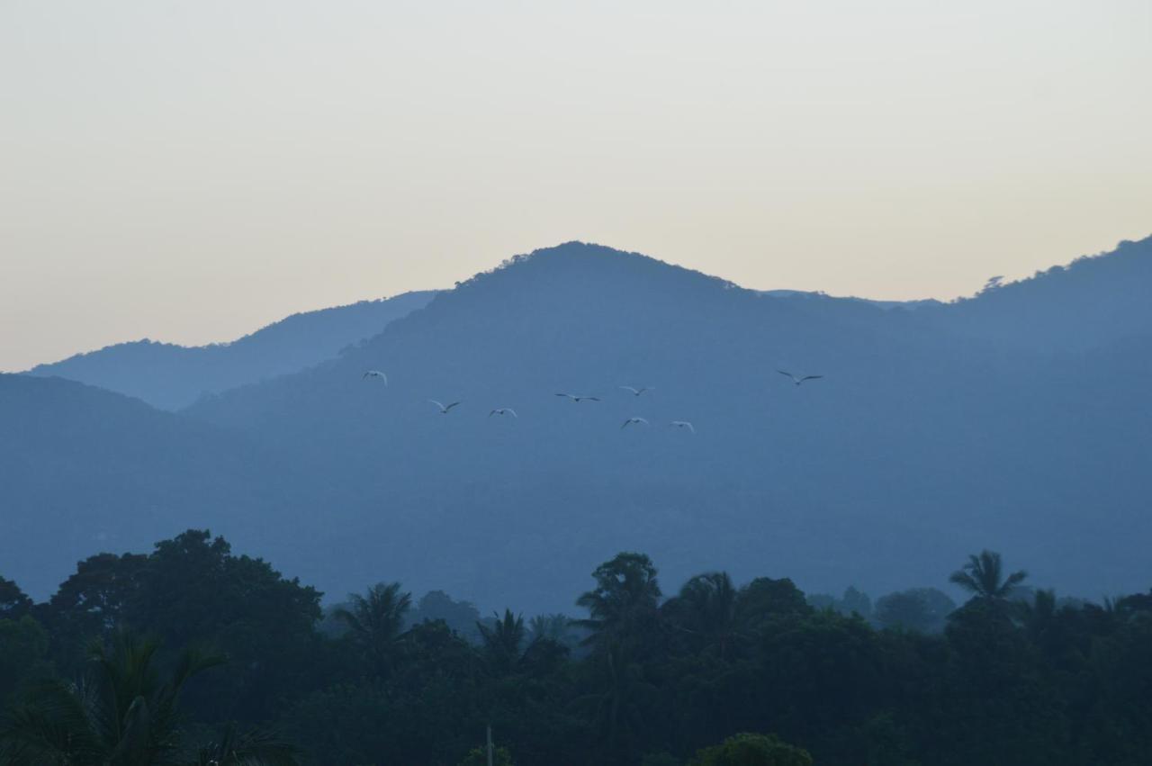 Ridge Boundary View Διαμέρισμα Dambulla Εξωτερικό φωτογραφία