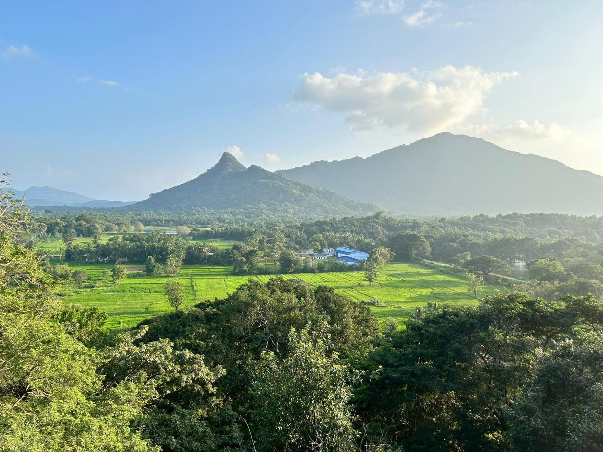 Ridge Boundary View Διαμέρισμα Dambulla Εξωτερικό φωτογραφία
